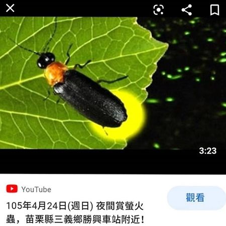 Miaoli Sanyi Bo Wu Guan Homestay Eksteriør billede
