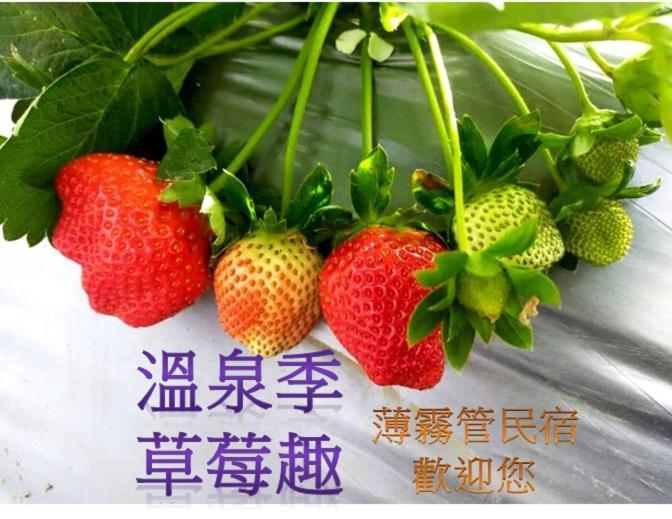 Miaoli Sanyi Bo Wu Guan Homestay Eksteriør billede