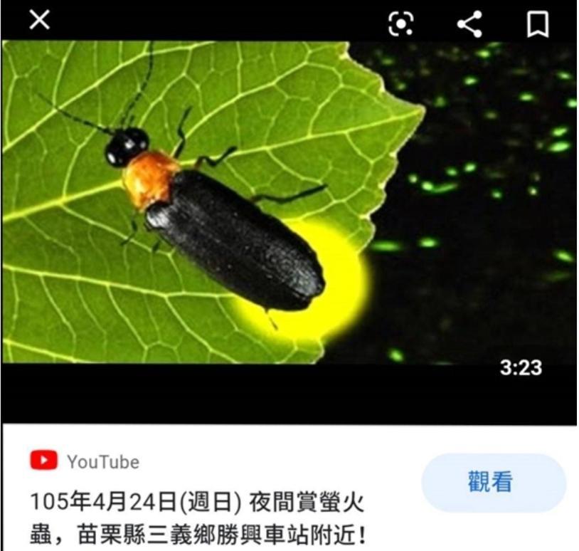 Miaoli Sanyi Bo Wu Guan Homestay Eksteriør billede