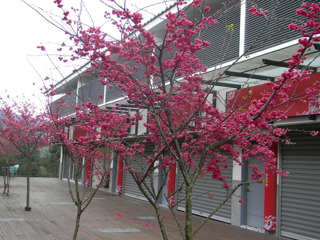 Miaoli Sanyi Bo Wu Guan Homestay Eksteriør billede